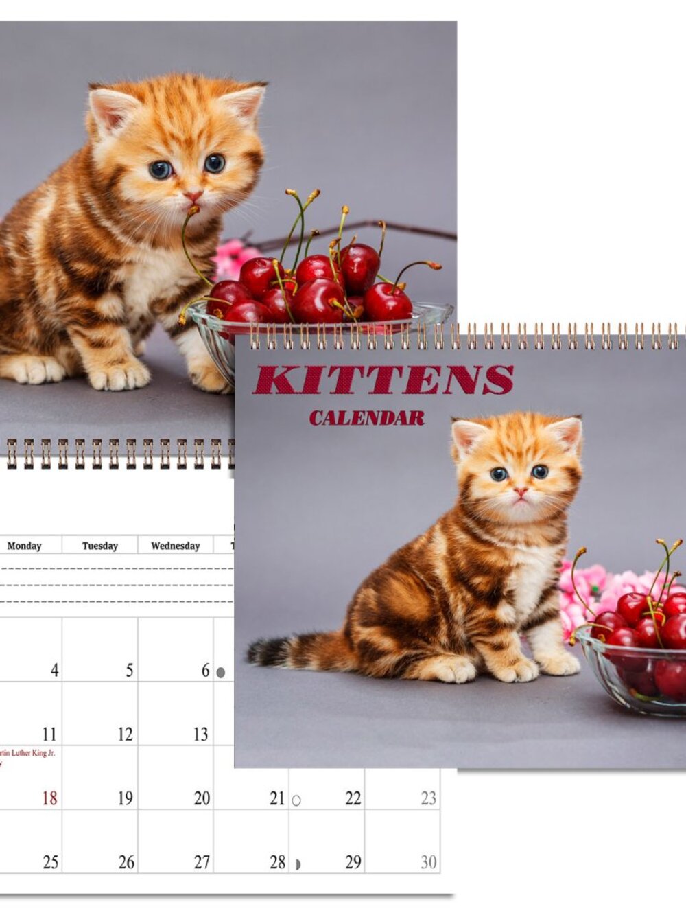 2027 Spiral-bound Wall Calendar (Kittens) - 12 Months Desktop/Wall Calendar